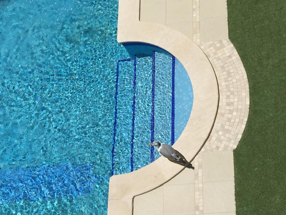 3 Min Walking To Peneco Beach Albufeira , Apart + Pool + Wifi Exterior photo